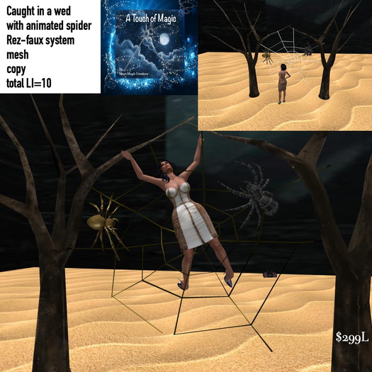 Caught in a web animated spider-Box LI=10