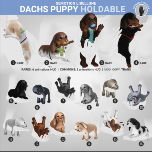 3. SEmotion Libellune Dachs Puppy Holdable RARE