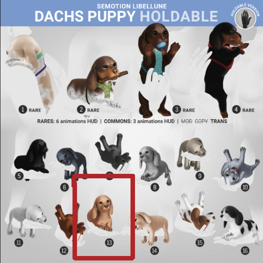 13. SEmotion Libellune Dachs Puppy Holdable RARE