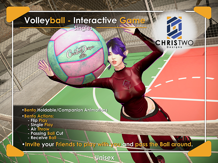 Volleyball - Pink/Blue - [Chris Two Designs]