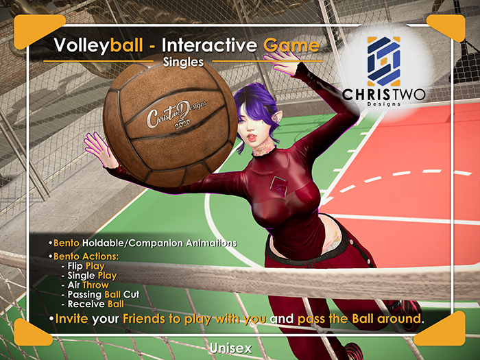 Volleyball - Brown - [Chris Two Designs]