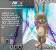 Ignition Bunny Male