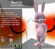 Ignition Bunny Female