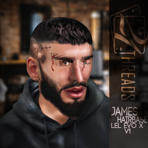 [21] James Charcoal/Brown V1 Lel Evo X