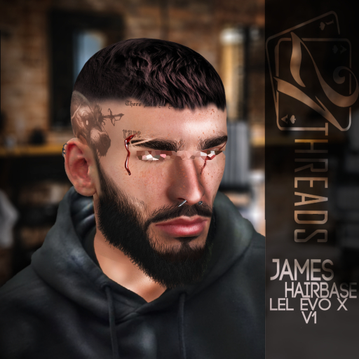[21] James Dark Brown Hairbase V1 Lel Evo X