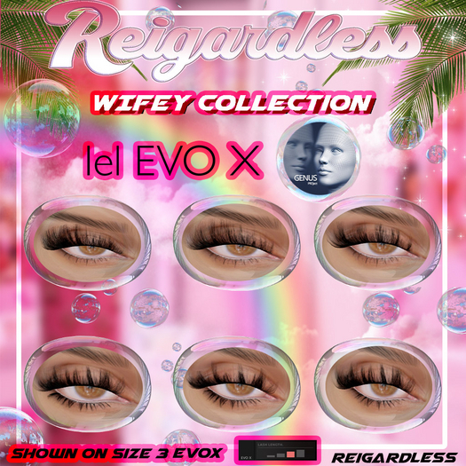 Reigardless Wifey Collection EVOX