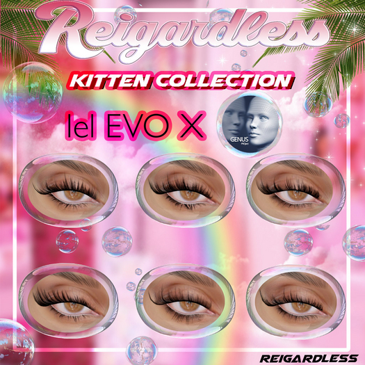 Reigardless Kitten Collection GENUS