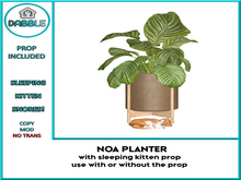 DB NOA PLANTER  add me