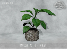 -DRD- Murder Motel - Plant