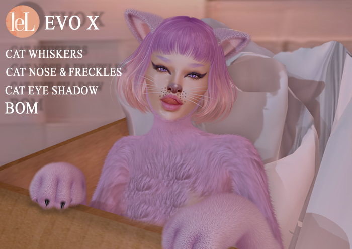 CAT set LeL EvoX