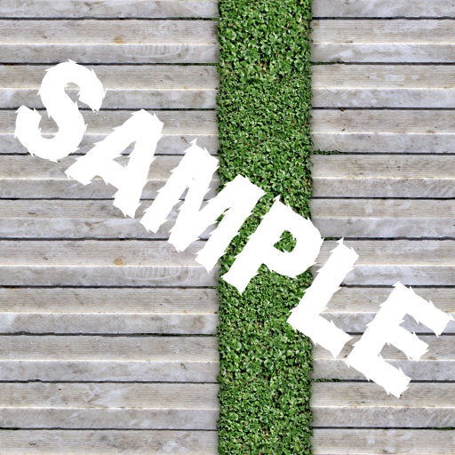 back yard path seamless