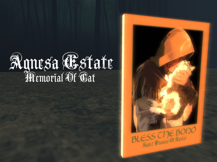 AE Memorial of Cat
