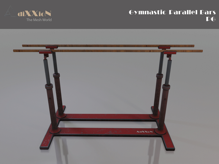 Gym Gymnastic Parallel Bars PG