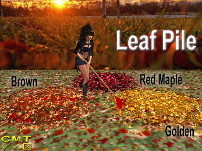 Autumn Leaves Pile