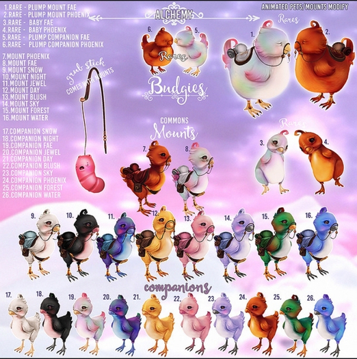 Birdy/Alchemy - Budgie Baby - Phoenix RARE