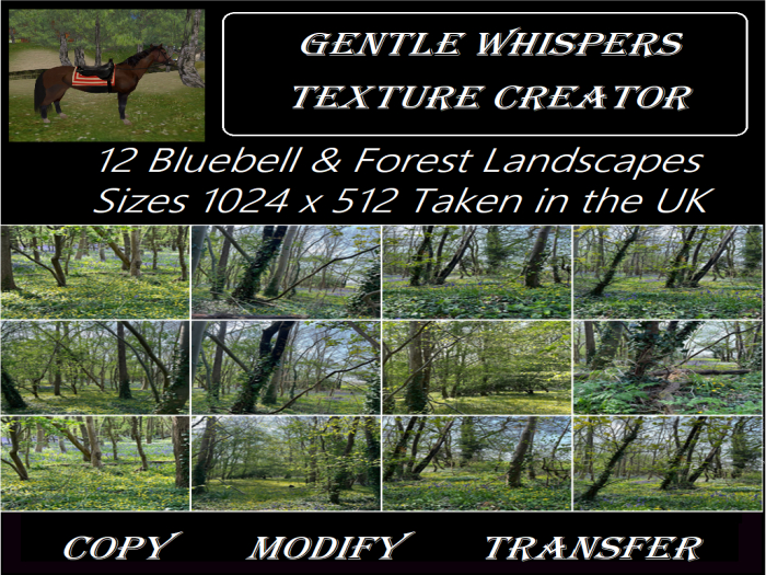 GW 12 Bluebell Landscape Textures