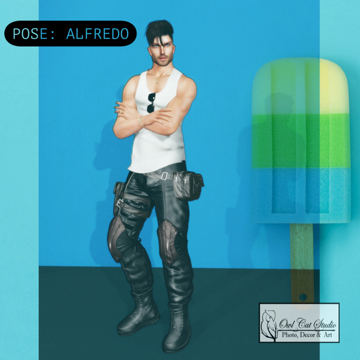  .: OwlCat Studio - Alfredo