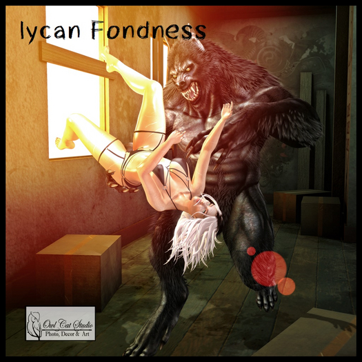**Studio Owl Cat**  - lycan Fondness 
