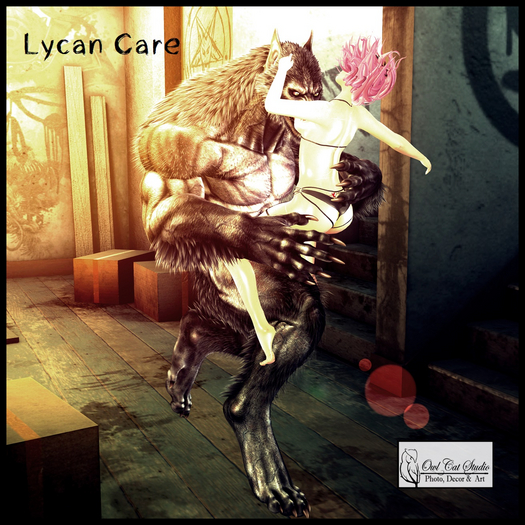 **Studio Owl Cat**  - Lycan Care 