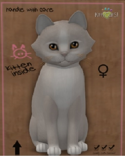 KittyCatS Box - New Born Kitten