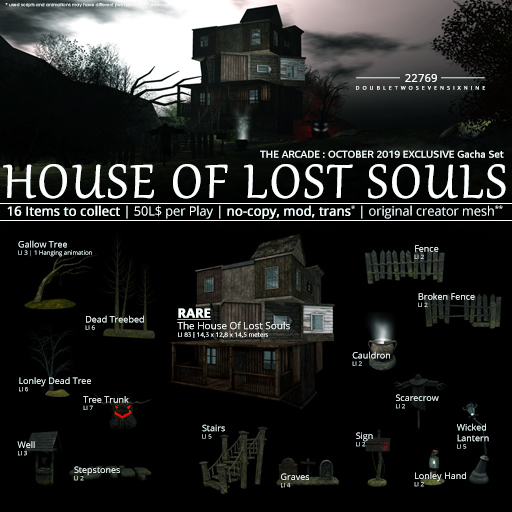 22769 - The House Of Lost Souls - RARE