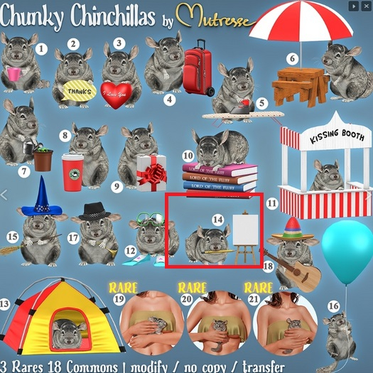 14. Mutresse-Chunky Chinchillas