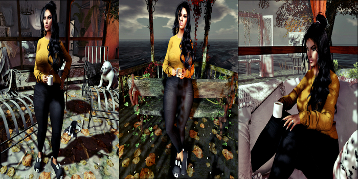 BB Autumn Warmth Poses Set - F