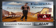 ENSSEMBLE COUNTRY JUSTIN - marron2 - Adam