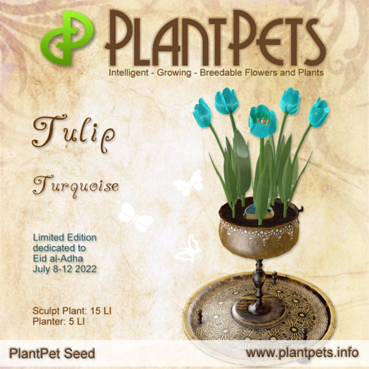 Plantpet seed tulip turquoise