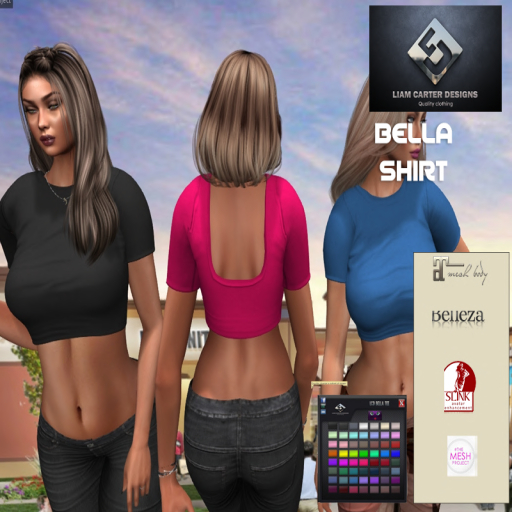LCD Bella Cropped Tee DEMO