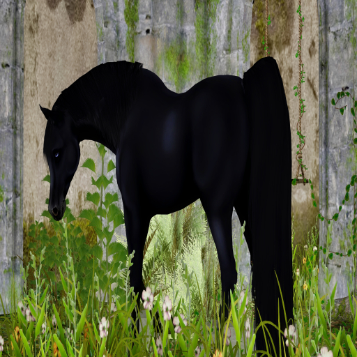 =CH= Midnight Coat
