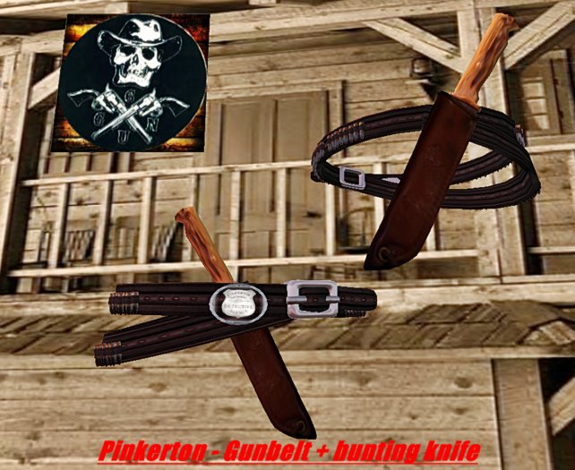 Pinkerton Gunbelt (sales box)