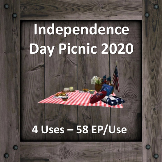 DFS Independence Day Picnic 2020 (DFS - Texture Only)