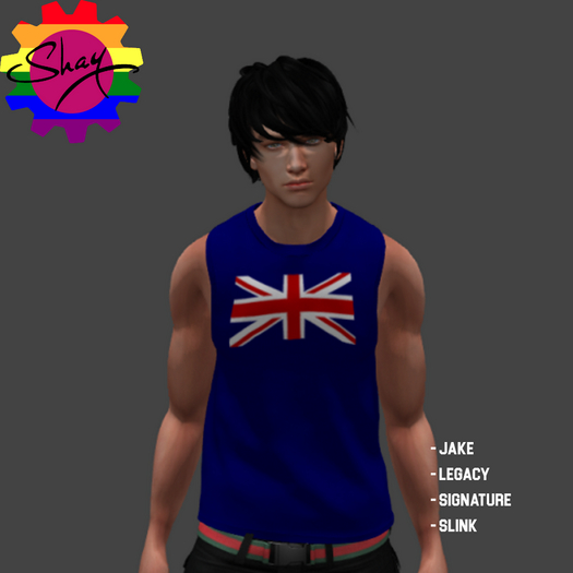 UK Flag Tank