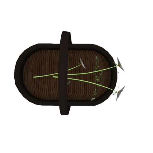 DFS Herb - Chamomile Basket 21