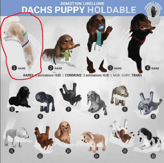 1. SEmotion Libellune Dachs Puppy Holdable RARE
