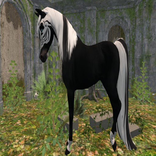 =CH= Zorse like horse coat