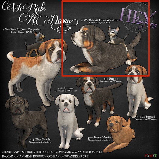 2. HEXtraordinary - We Ride At Dawn Wanderer - RARE