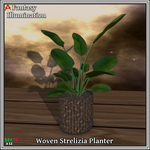 Woven Planter