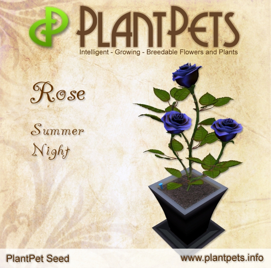 PlantPet Seed [Rose *Summer Night*] RARE