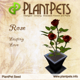 PlantPet Seed [Rose *Lasting Love*]