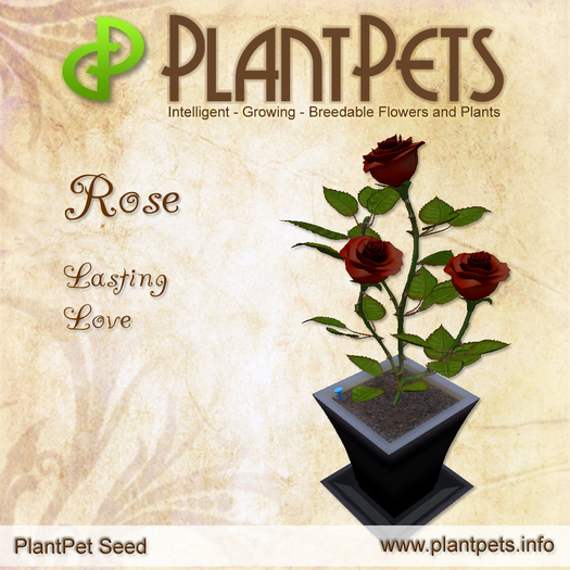 PlantPet Seed [Rose *Enchanted Evening*]