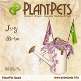 PlantPet Seed [Ivy *Brisa*]