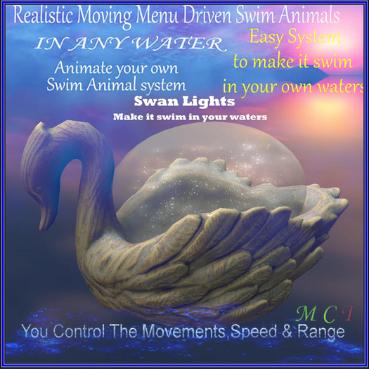 Swimming Swan