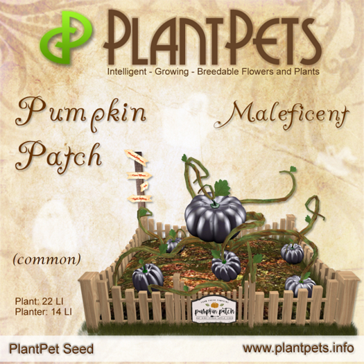 PlantPet Seed [Pumpkin Patch *Maleficent*]