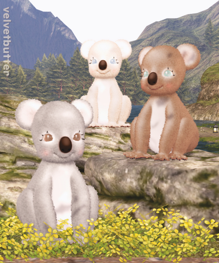 velvetbutter - koalas fatpack
