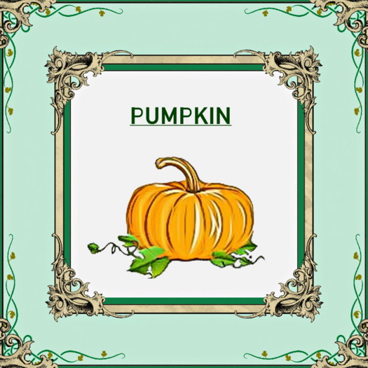 DFS Pumpkin