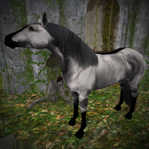 Silver Buckskin (Add Meh!)