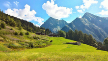 629 - Summer - Alps - Green Grass - Field - Mountains - Trees - Blue Sky - Land Divider - Privacy Screen