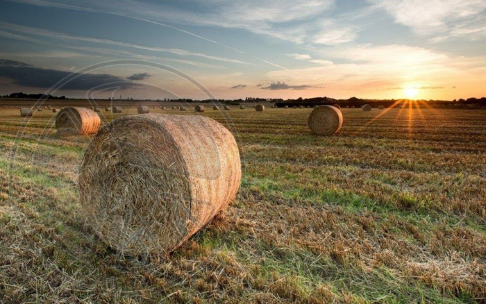 635 - Summer - Sunset - Field - Hay bales - Land Divider - Privacy Screen